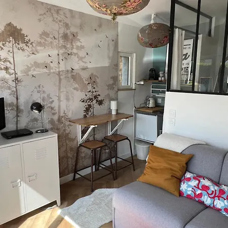 Petit Cocon Cosy Proche Zenith, Parking Et Jardin Daire *